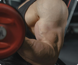 Accelerated Muscle Repair